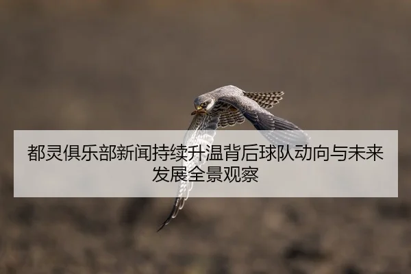 都灵俱乐部新闻持续升温背后球队动向与未来发展全景观察