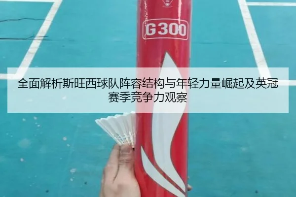 全面解析斯旺西球队阵容结构与年轻力量崛起及英冠赛季竞争力观察