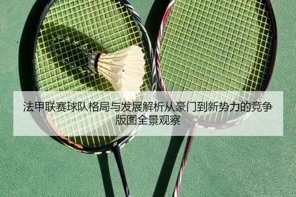 fa-jia-lian-sai-qiu-dui-ge-ju-yu-fa-zhan-jie-xi-cong-hao-men-dao-xin-shi-li-de-jing-zheng-ban-tu-quan-jing-guan-cha-2-951.jpg